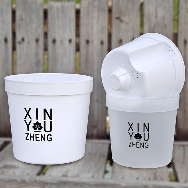 绿萝半透明储水盆|超3000次加购