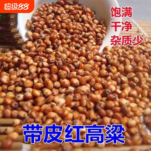 高粱酿酒酿醋梗五谷杂粮