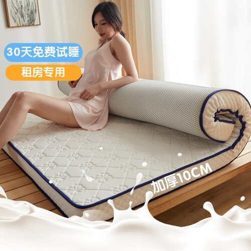 四季款床垫家用软垫褥铺地