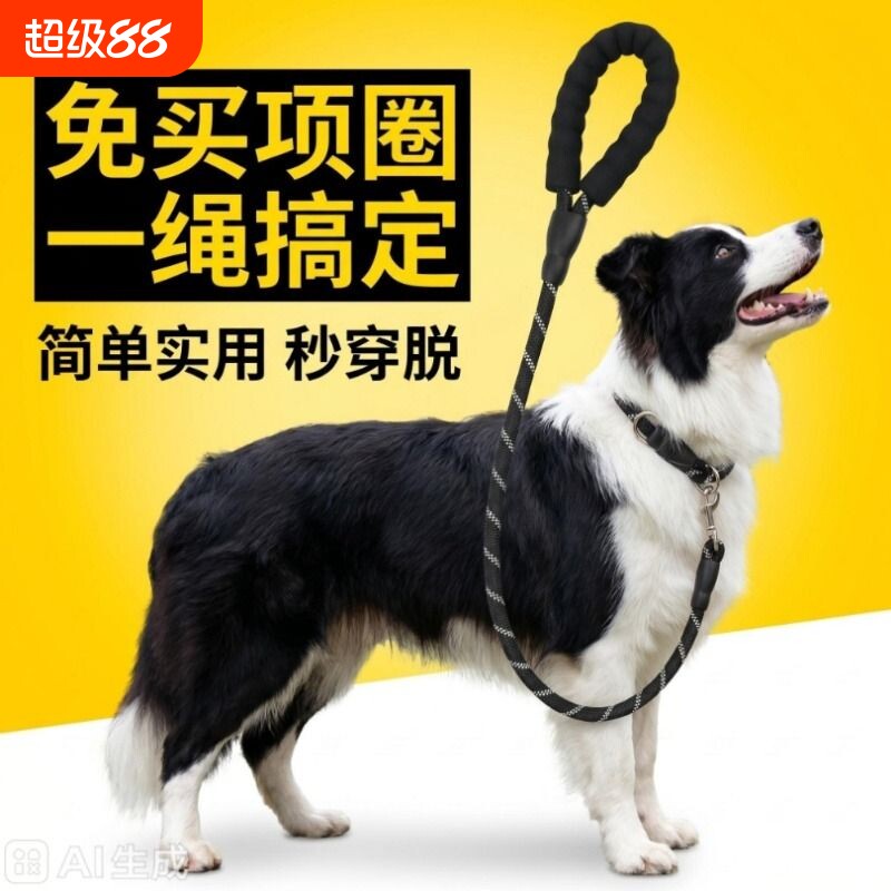 一体化多功能P链夜间反光牵引绳图片