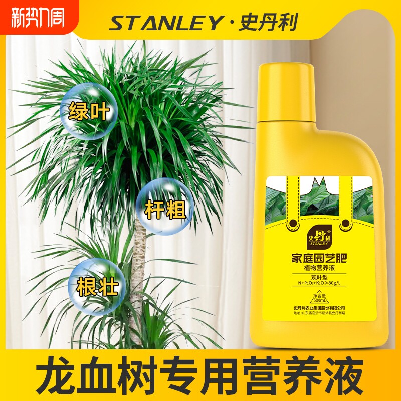 史丹利龙血树专用营养液治疗龙须树黄叶怎么养客厅绿植通用型肥料