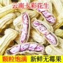 七彩花生云南特产带壳新鲜七彩花生米2026新货生熟水煮五彩花生