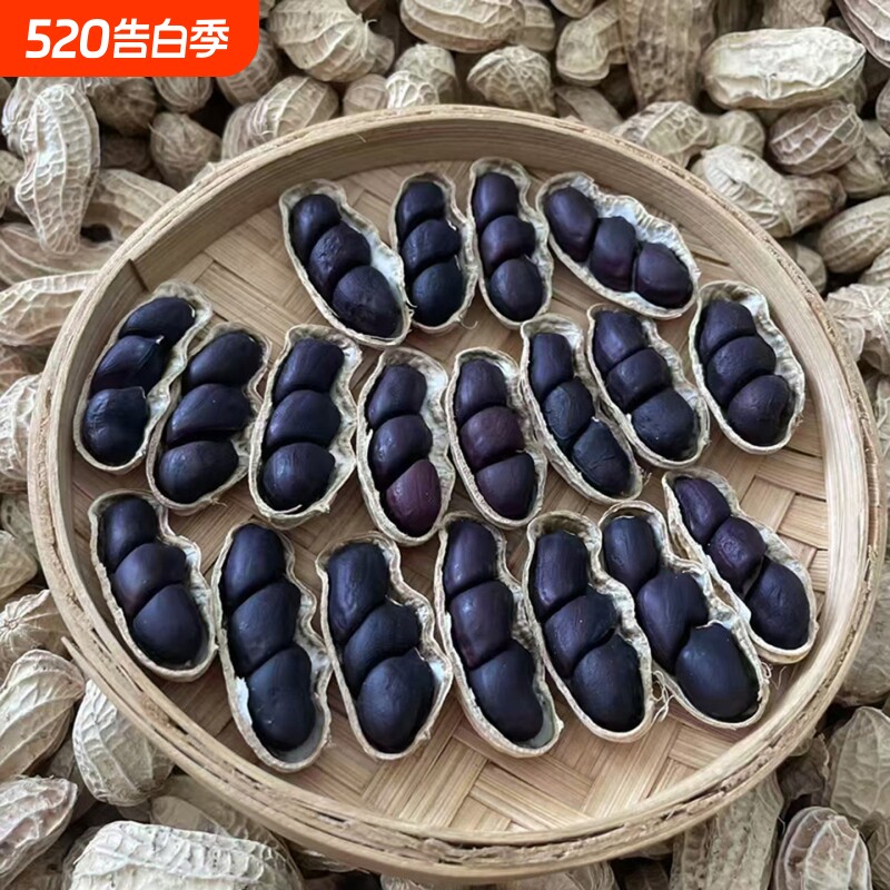 2025年新货云南黑花生带壳富硒黑花生普洱黑花生种黑皮花生米