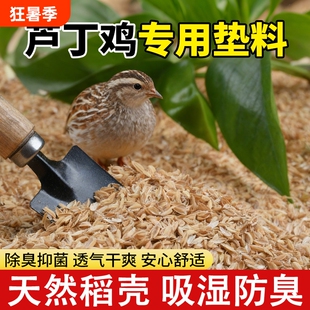 芦丁鸡垫料稻壳专用柯尔鸭发酵床鹌鹑小宠除臭无尘专用垫料谷壳
