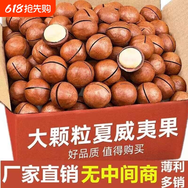 夏威夷果坚果2025年新货原味干果整箱零食年货健康果仁吃货大颗粒