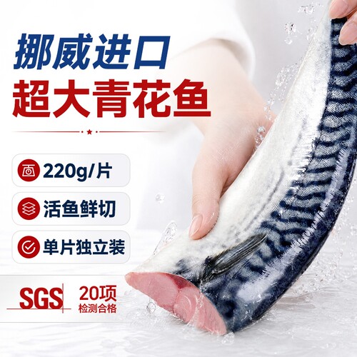 挪威超大青花鱼单片独立包装