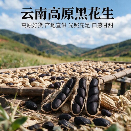 黑花生黑皮花生2026年新货云南特产小粒富硒带壳散装老品种新鲜