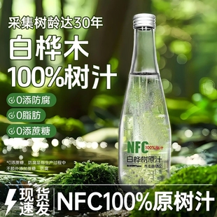 原汁100%0添天然純木本植物飲料樺樹(shù)水原漿瓶裝 長(zhǎng)白山