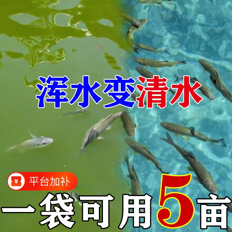 鱼塘鱼池水立水净池塘水质净化去臭净水王不伤鱼虾蟹养殖水质稳定