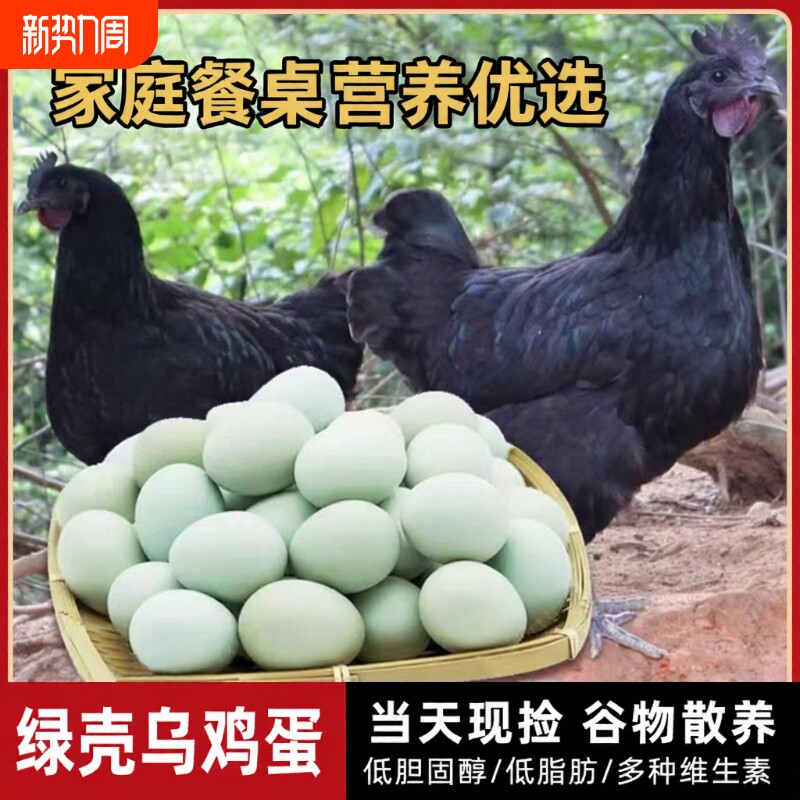 乌鸡蛋正宗农家散养20枚大别山虫草笨鸡蛋跑山鸡蛋绿壳土鸡蛋新鲜
