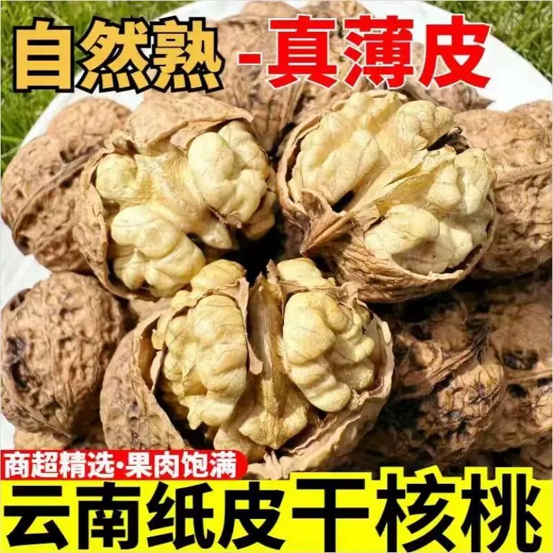 云南纸皮新货原味无添加农家直销零食特产批发老树核桃5斤9斤