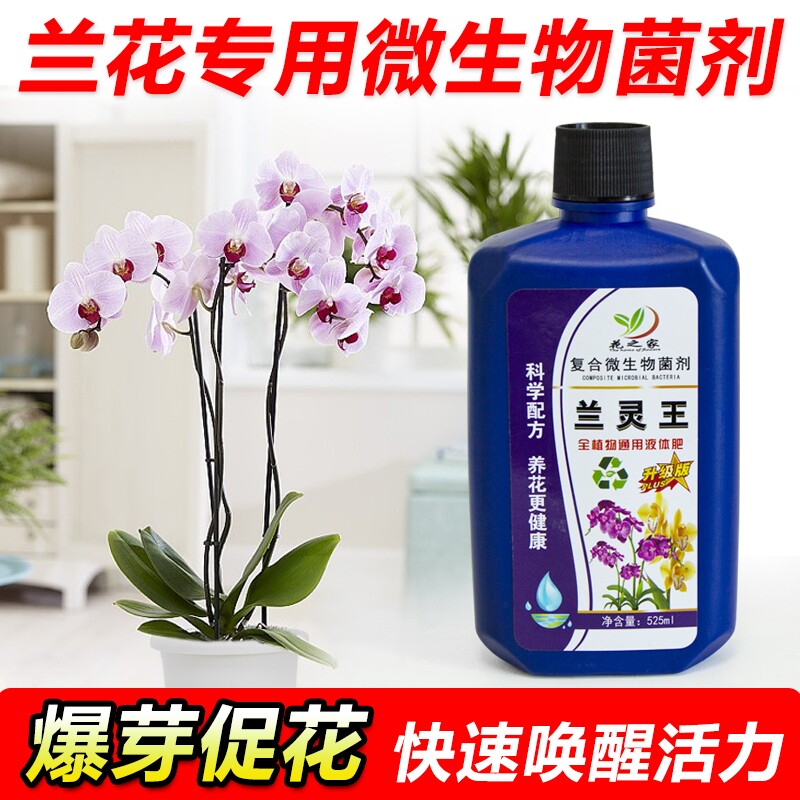 兰灵王兰花专用菌肥营养液多箭蝴蝶兰君子兰灵王活化剂微生物植物