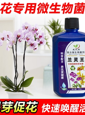 兰灵王兰花专用菌肥营养液多箭蝴蝶兰君子兰灵王活化剂微生物养花