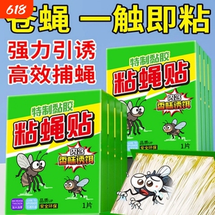 苍蝇纸强力粘蝇纸粘蝇贴沾蝇蚊子灭蝇子捕捉神器厨房家用克星饭店
