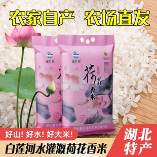新米大米5KG湖北浠水稻田米虾田米长粒香米荷花香米袋装现发年货