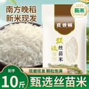 2024年大米新米10斤丝苗长粒香米当季 晚稻正宗猫牙米5kg油粘米