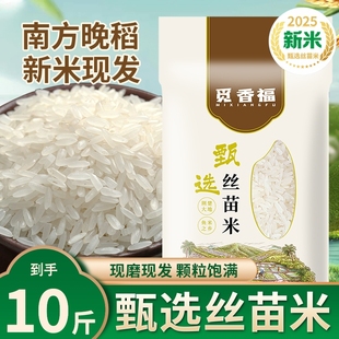 2024年大米新米10斤丝苗长粒香米当季 晚稻正宗猫牙米5kg油粘米