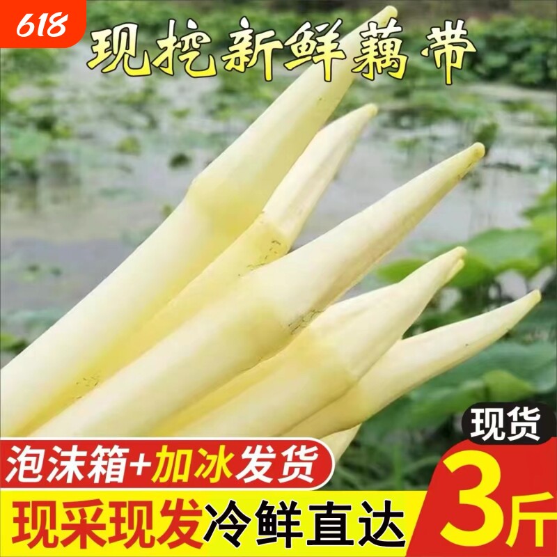 湖北特产当季时令水生蔬菜藕带新鲜脆嫩藕尖藕簪藕肠现采现发莲菜