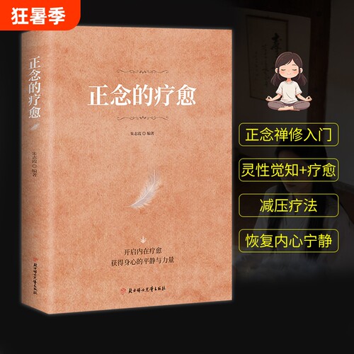 现货速发正念的疗愈正版对抗焦虑的指南乐嘉禅修入门减压疗法内心宁静开启内在身心的平静cj心灵书籍之路断舍离理解心理自我允许