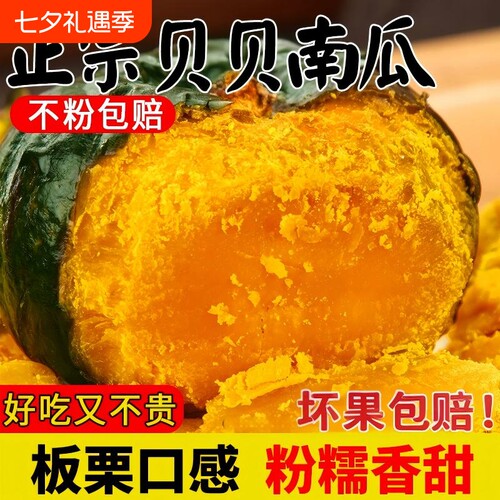 正宗贝贝南瓜新鲜水果蔬菜板栗味小南瓜栗面老瓜宝宝孕妇粉糯早餐