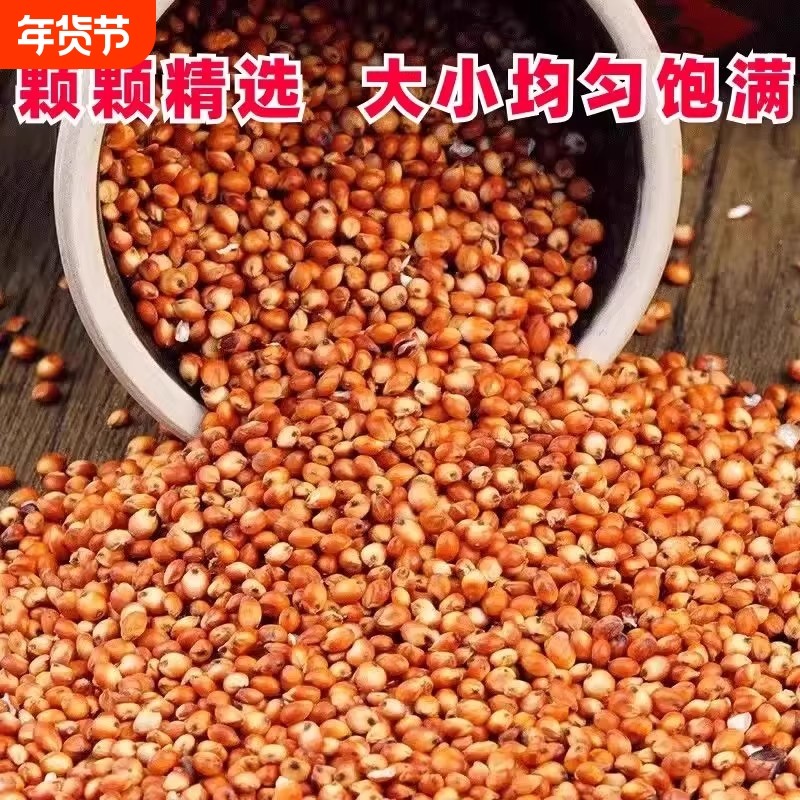 现货红高粱喂鸽子粮食去壳带皮鸟食信鸽农家自产五谷杂粮饲料酿酒