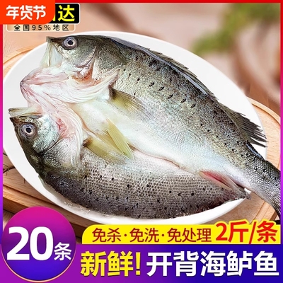 海鲈鱼开背新鲜冷冻鲜活深海