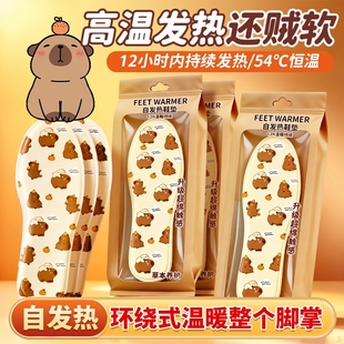 自发热鞋 充电 垫暖脚贴神器冬天暖足贴女脚底一次性加热暖宝宝冬季