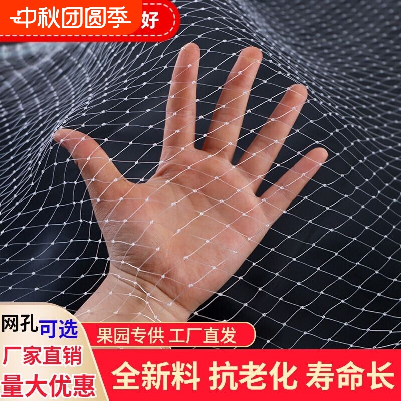 防鸟网果园防鸟罩|超1.3万次加购图片