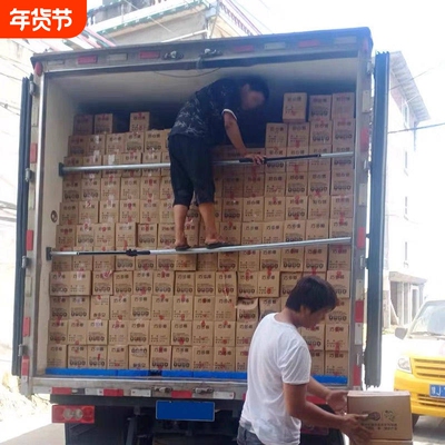 德国进口厢式货车支撑杆可调节伸缩集装箱顶杆防移动固定器厢货车