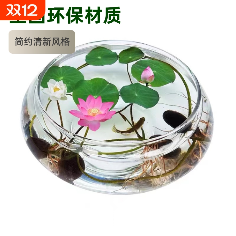 透明玻璃水培花瓶|超5000次加购