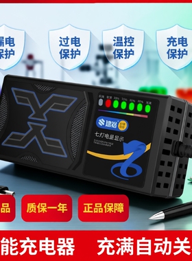 电动车电瓶充电器48V12AH60V20A72V适用于超威天能三轮铅酸石墨烯