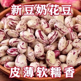 2025年营养奶花豆蛋白豆贵州特产花芸豆五谷杂粮豆浆豆优质新货