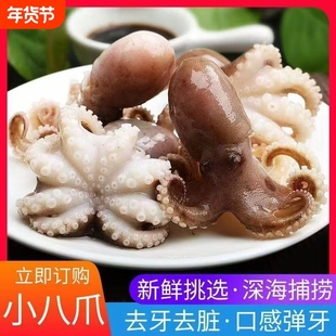 八爪鱼鲜活海鲜小章鱼水产新鲜爆头短腿八抓鱼冷冻迷你去内脏商用