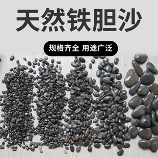 铁胆沙鱼缸底砂造景沙天然黑工砂乌龟缸石头水族箱装饰鳌虾水草沙