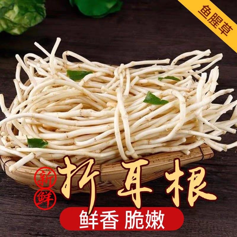 新鲜鱼腥草根折耳根 现挖 凉拌节节根 时令野菜火锅食材 一份包邮