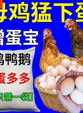 蛋多多鸡鸭鹅鹌鹑鸽子用增蛋宝催鸡下蛋多饲料催蛋素产蛋王产蛋灵