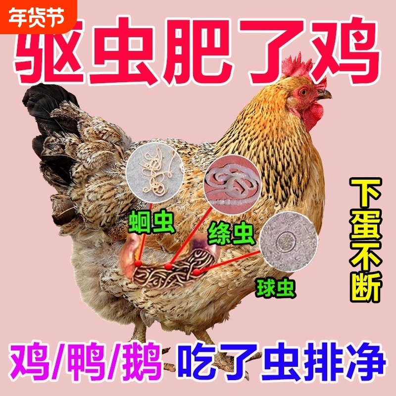 鸡寄生虫驱虫药鸡体内外驱全虫清鸡鸭鹅肠道蛔虫球虫线虫驱打虫药