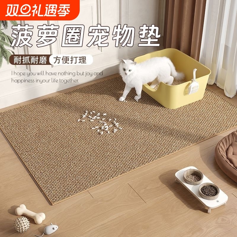 仿客厅地毯防猫抓地垫亚麻入户门垫进门脚垫耐脏玄关除尘免洗浴室