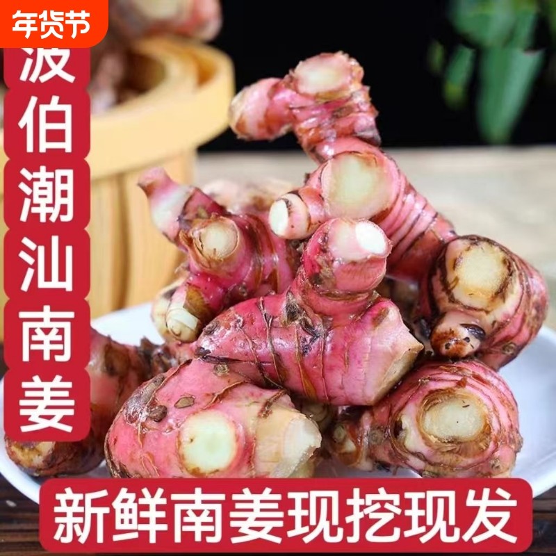 正宗潮汕老南姜新鲜食用野山姜红皮老南姜去腥卤肉黄姜先挖不带泥,水产肉类/新鲜蔬果/熟食,生姜/南姜,淘宝优惠券,粉丝福利购,淘宝优惠卷