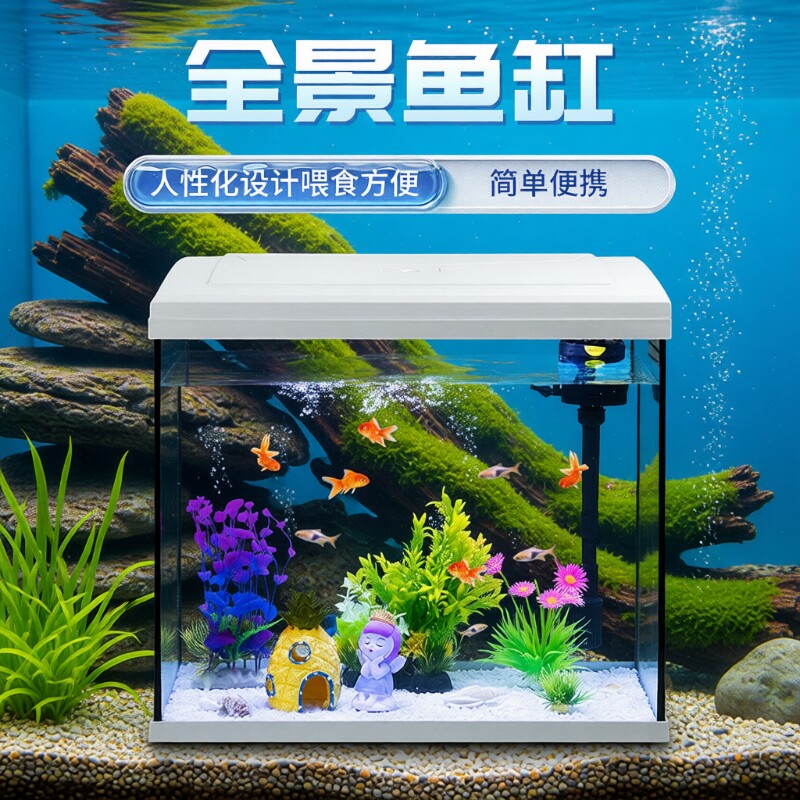 鱼缸免换水客厅金鱼缸玻璃懒人桌面家用造景生态中小型水族箱增氧