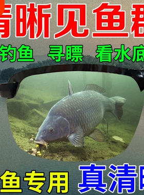 水深10米直接看到鱼钓鱼射鱼神器