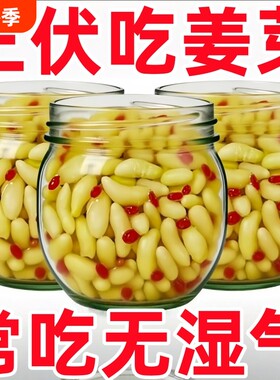 淄博枸杞泡姜芽新鲜嫩姜芽腌制特产泡菜下饭菜糖醋生姜姜片开胃