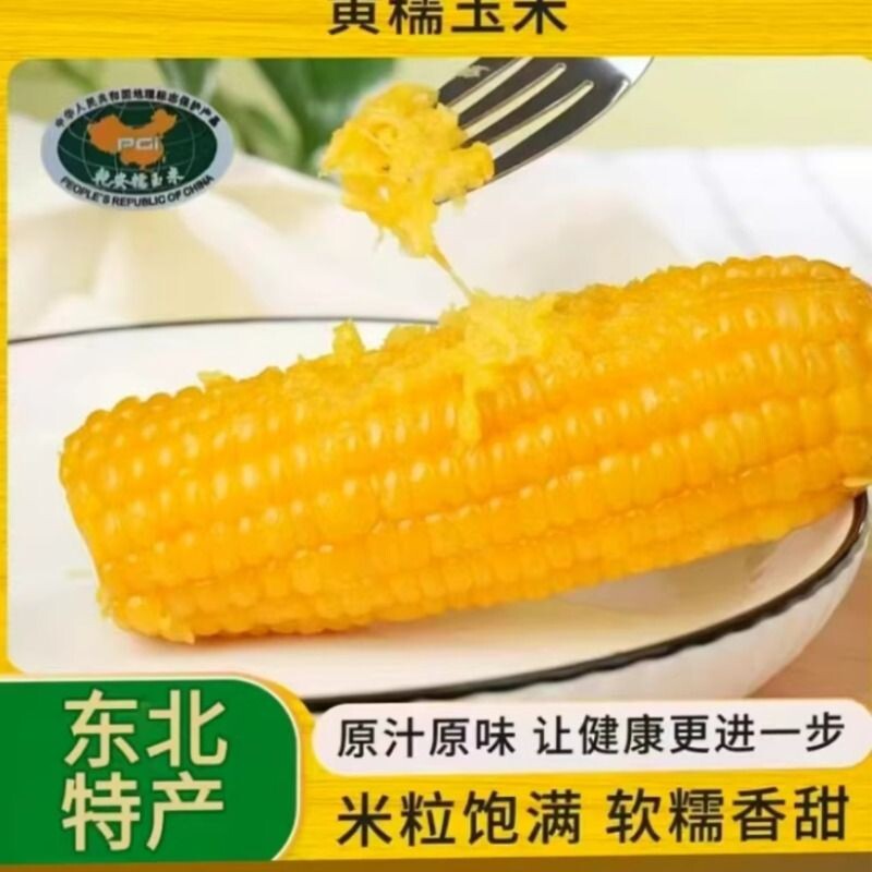 东北黄糯玉米新鲜甜糯玉米棒真空包装软糯香甜源头工厂直发