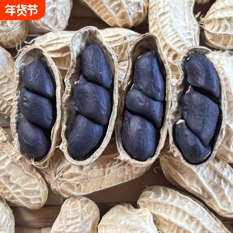 2025年新货云南特产小颗粒黑花生富硒带壳黑皮花生米散装年货