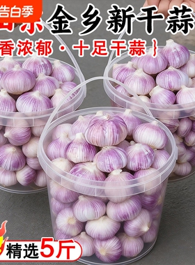 山东金乡大蒜干蒜大蒜头5斤新干蒜精选特大果紫白皮批发新鲜
