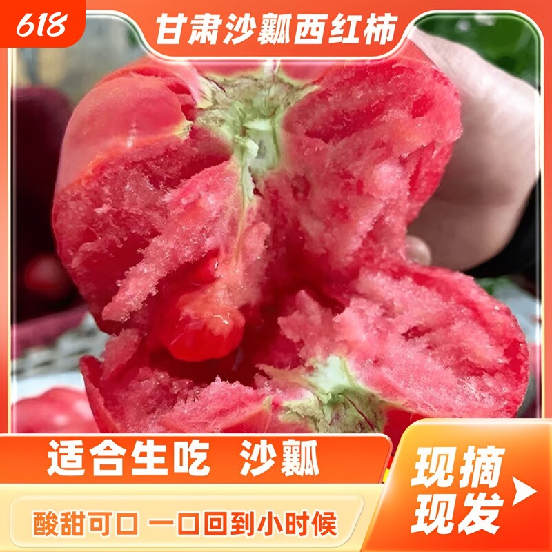 甘肃沙漠当季新鲜沙瓤西红柿现摘农家自种自然熟柿子蔬菜果蔬凉拌