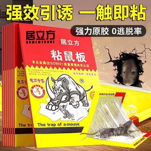 老鼠贴强力粘鼠板灭鼠抓老鼠笼捕鼠夹药胶一窝端家用超强粘贴