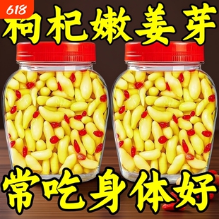 淄博枸杞泡姜芽嫩姜新鲜仔姜生姜腌制泡菜特产姜芽糖醋酸甜下饭菜