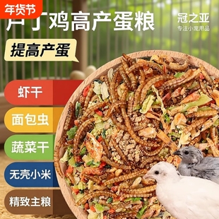 芦丁鸡粮食产蛋饲料专用下蛋粮卢丁鸡小鸡幼鸡开口育雏食物零食