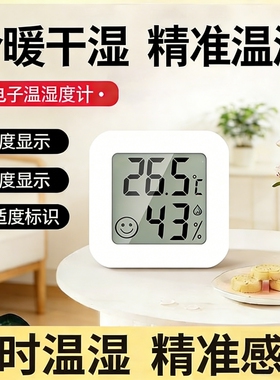 温度计室内家用温湿度计高精准度电子壁挂婴儿房气温冰箱温度表干